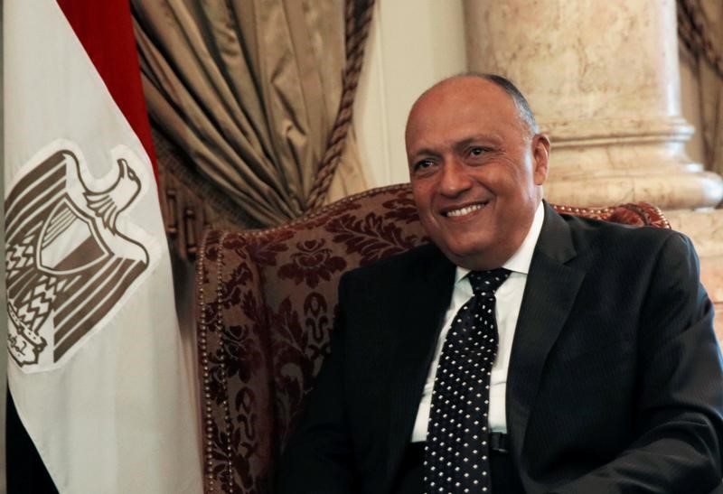 سامح شكري وزير الخارجية المصري سامح شكري وزير الخارجية المصري