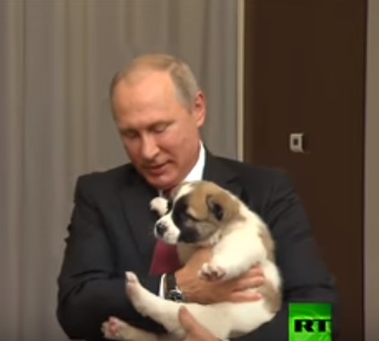 لقطة من الفيديو