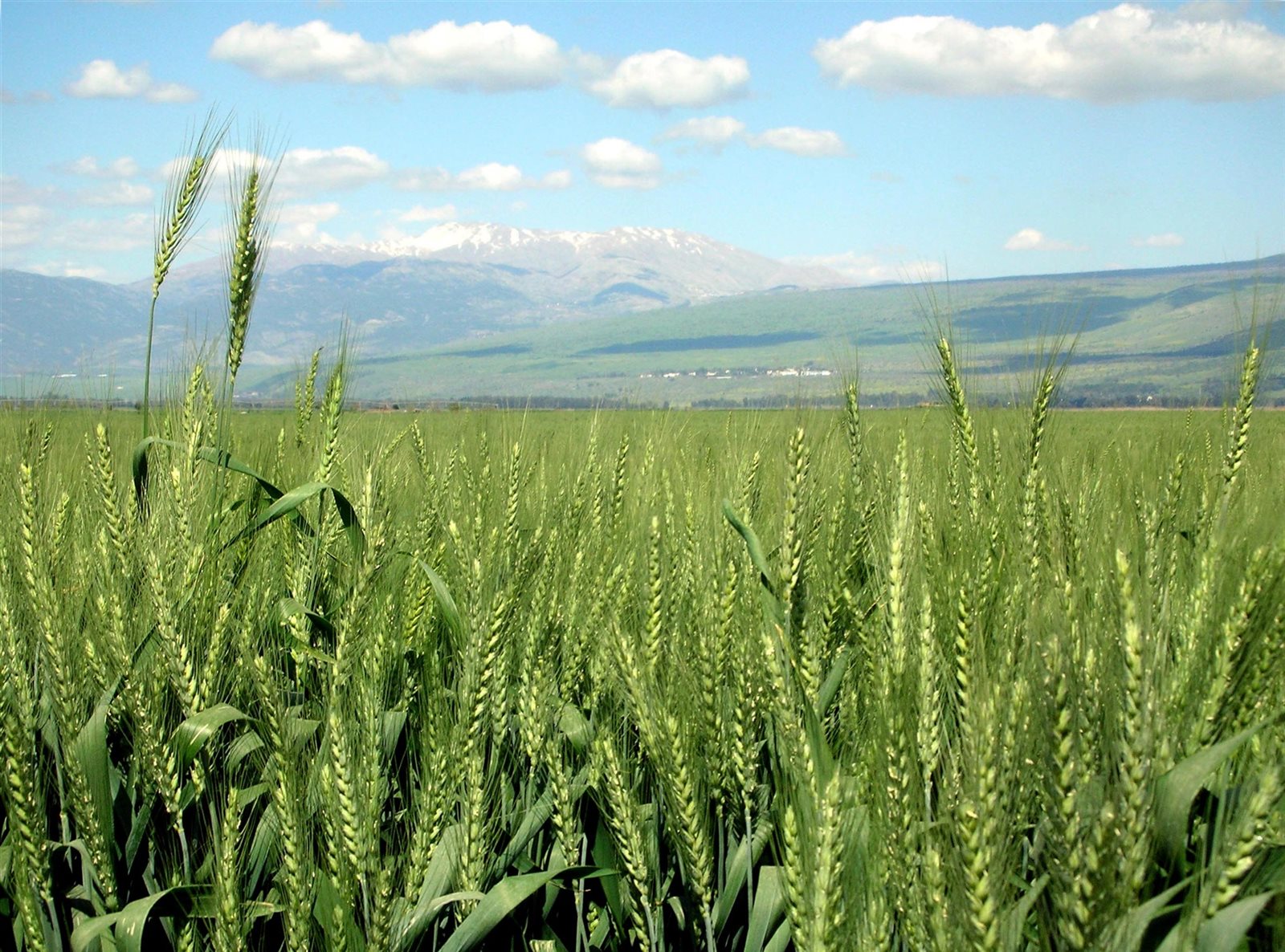 صورة أرشيفية صورة أرشيفية