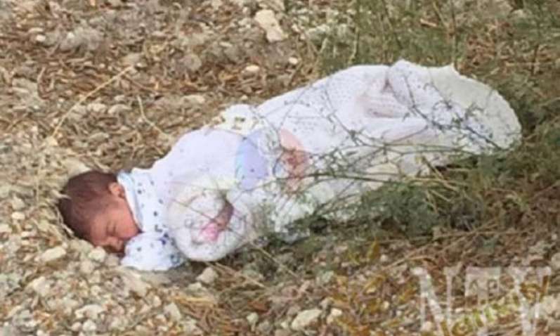 صورة أرشيفية صورة أرشيفية