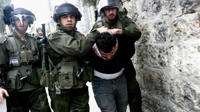 ارشيفية