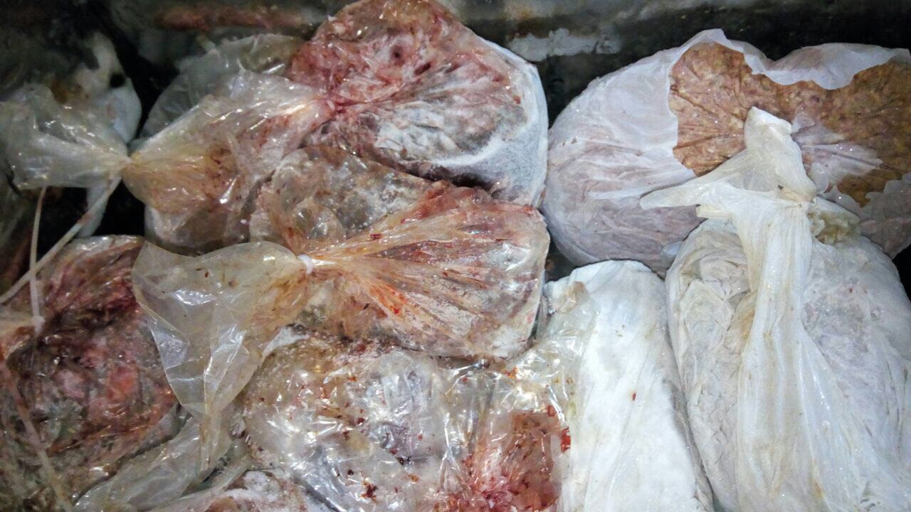 لحوم فاسدة لحوم فاسدة