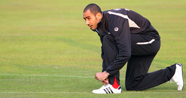  محمد شوقي