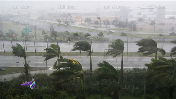  مقتل خمسة أشخاص جراء إعصار (دامري) في فيتنام 