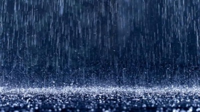 ارشيفية ارشيفية