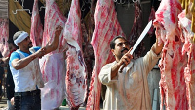 ارشيفية