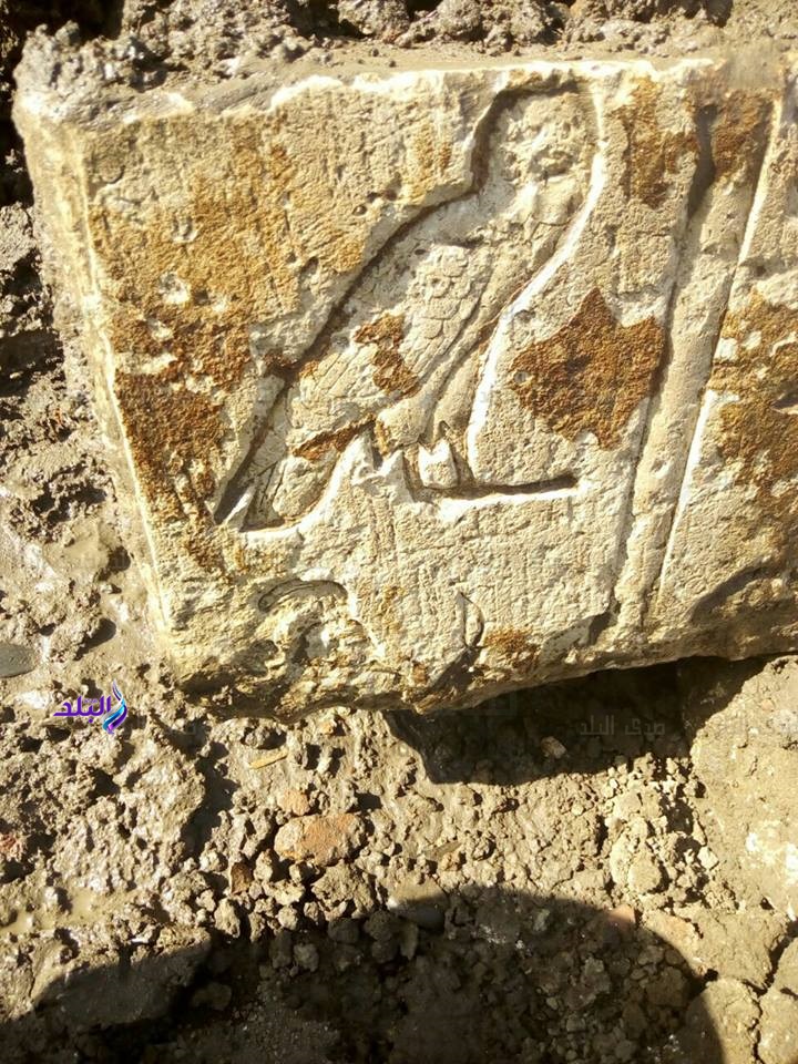 جانب من الإكتشافات 