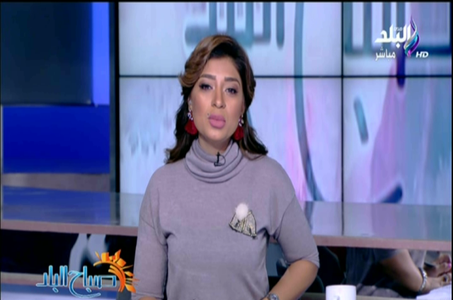 الإعلامية لميس سلامة