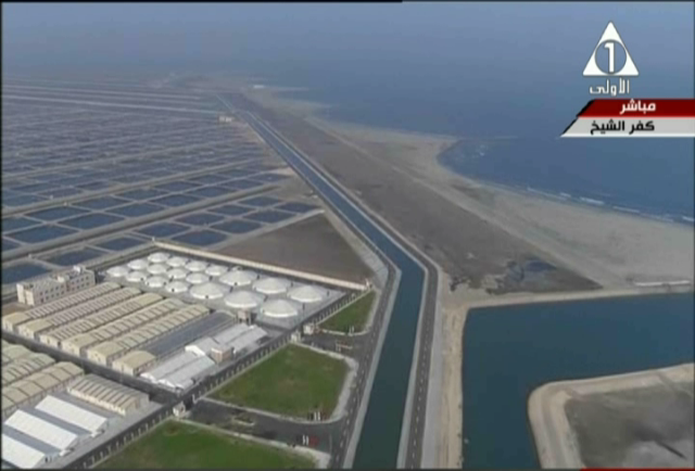 صورة من الحدث