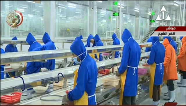 صورة من الحدث