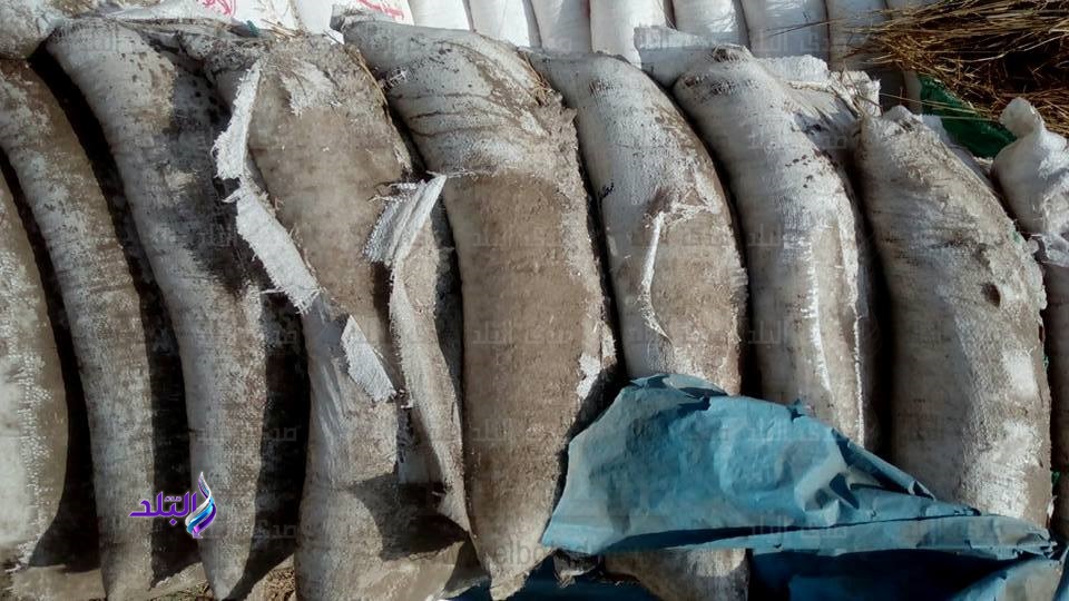 ضبط 35 طن ملح «سياحات»