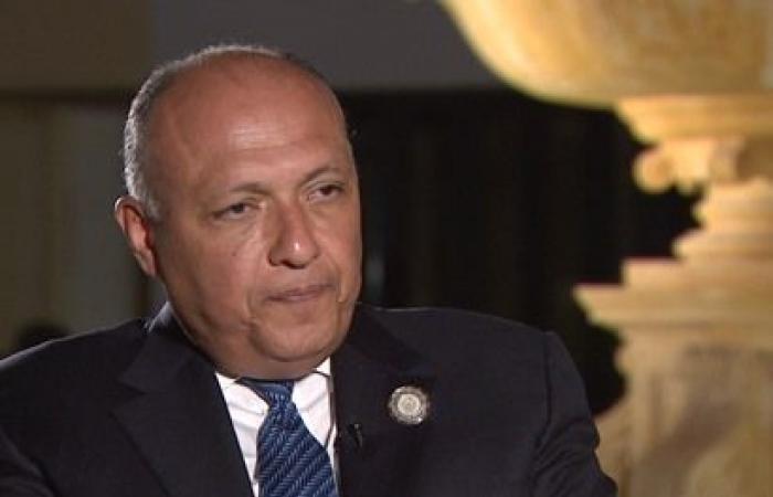 وزير الخارجية سامح شكري وزير الخارجية سامح شكري