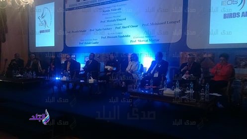 جانب من الحدث جانب من الحدث
