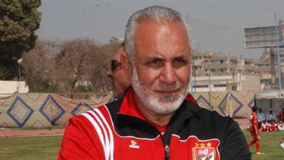 محمد عامر محمد عامر