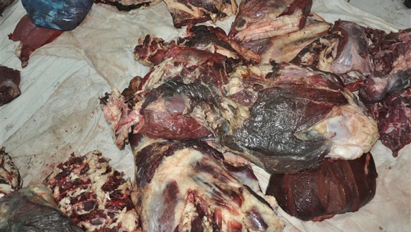 لحوم فاسدة - أرشيفية 