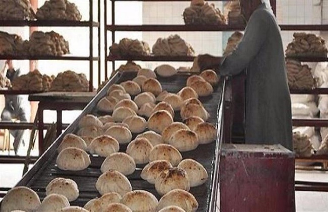 صورة ارشيفية صورة ارشيفية