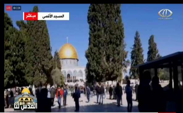 صورة من الحدث