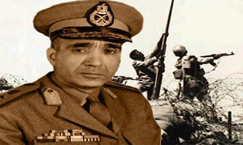 الفريق عبدالمنعم رياض الفريق عبدالمنعم رياض
