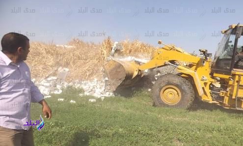 إزالة التعديات إزالة التعديات