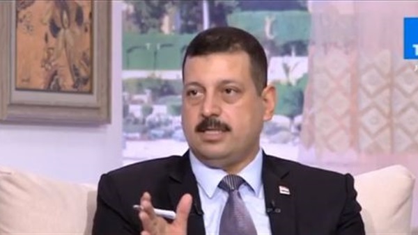 الدكتور أيمن حمزة، المتحدث باسم وزارة الكهرباء