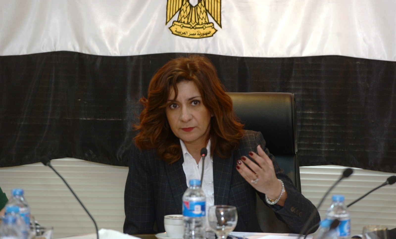 وزيرة الهجرة وشؤون المصريين بالخارج
