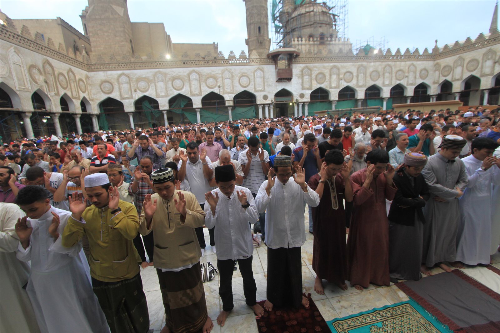 أرشيفية