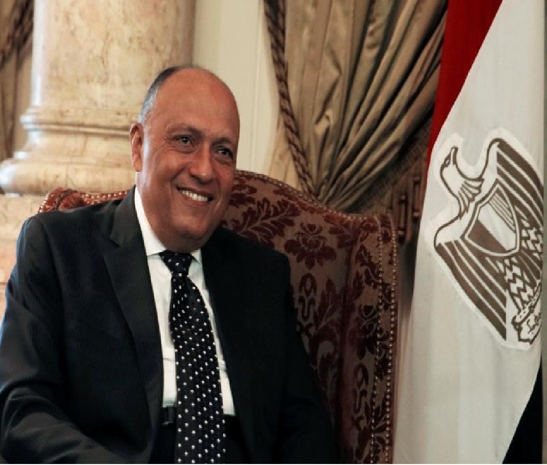 سامح شكرى وزير الخارجية سامح شكرى وزير الخارجية