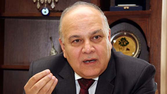 عمرو عزت سلامة 