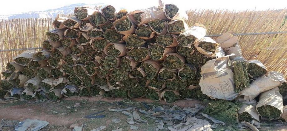 احدى ضبطيات رجال الدخلية