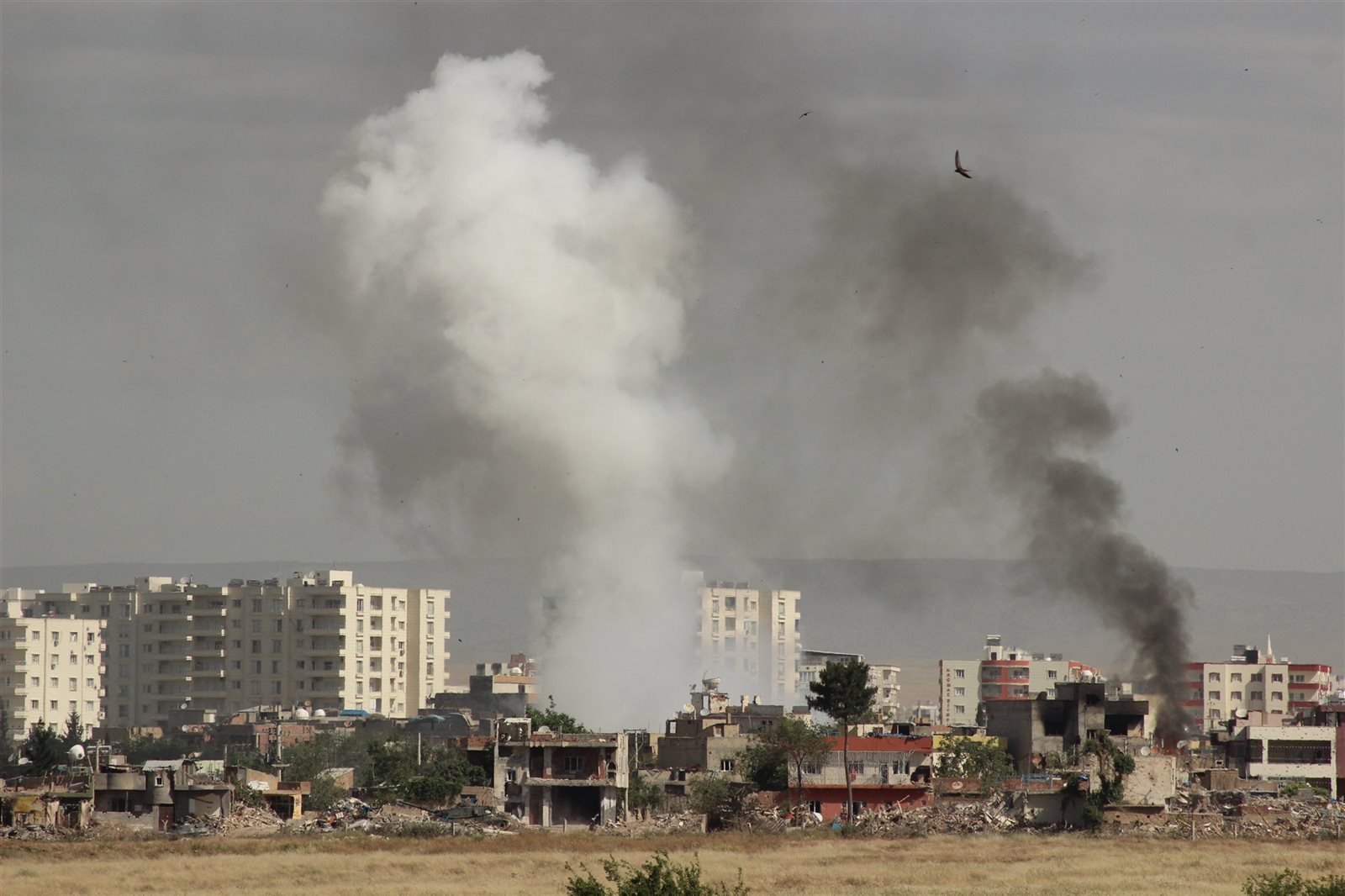 صورة ارشيفية