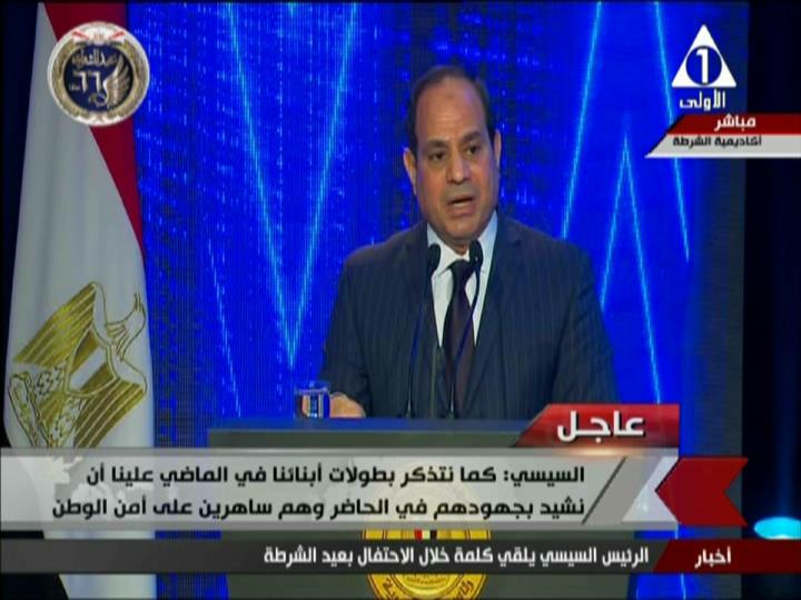 الرئيس عبدالفتاح السيسى 