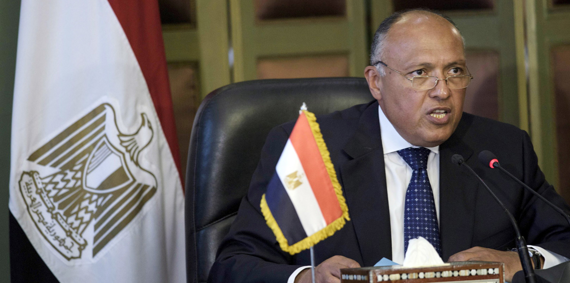 سامح شكري - وزير الخارجية المصري سامح شكري - وزير الخارجية المصري