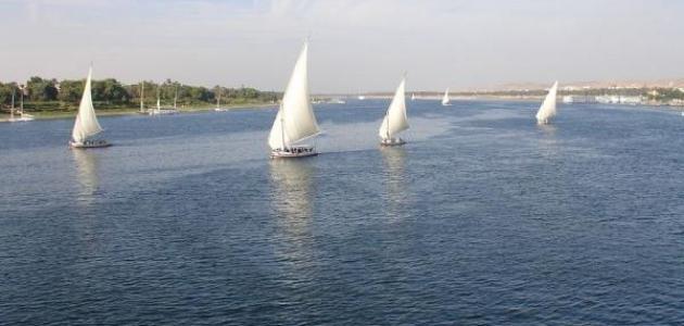 نهر النيل - أرشيفية نهر النيل - أرشيفية