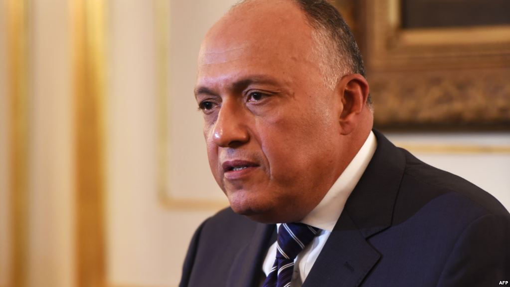 سامح شكري - وزير الخارجية المصري