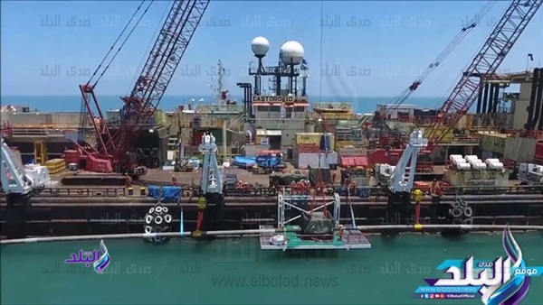 حقل ظهر