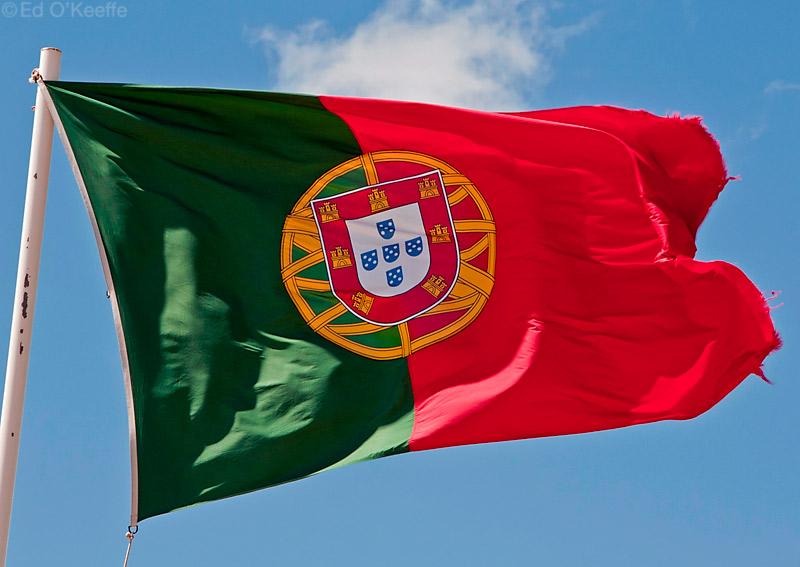 الصينيون أكثر المستفيدين من "التأشيرة الذهبية" بالبرتغال الصينيون أكثر المستفيدين من "التأشيرة الذهبية" بالبرتغال