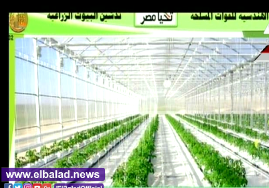 لقطة من الفيديو