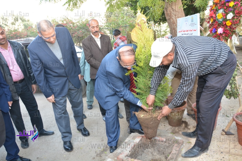 رئيس جامعة أسيوط يزرع شجرة