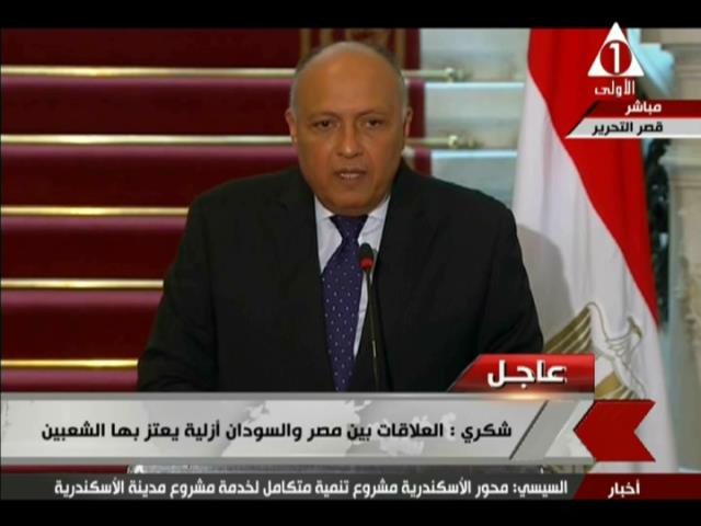  وزير الخارجية سامح شكري