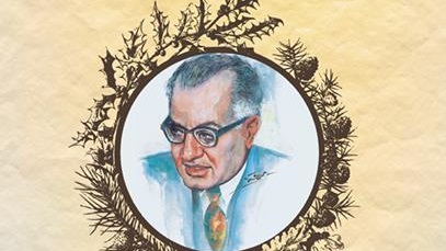 عبد الرحمن الشرقاوى 