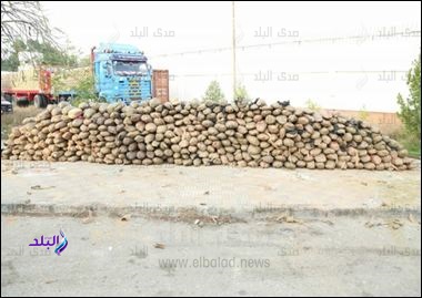 احباط محاولة تهريب 2 طن بانجو