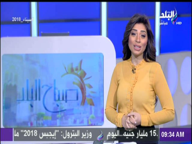 الإعلامية لميس سلامة