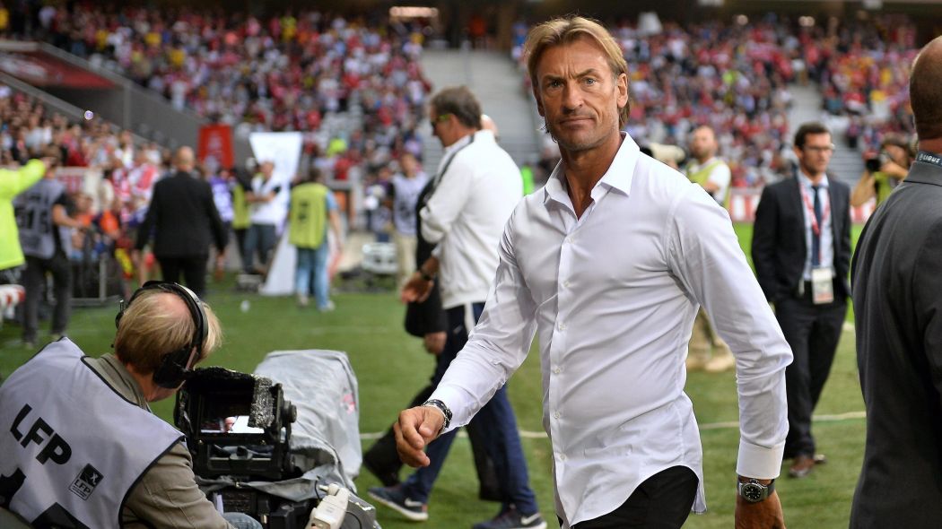 هيرفي رينارد، مدرب منتخب المغرب هيرفي رينارد، مدرب منتخب المغرب