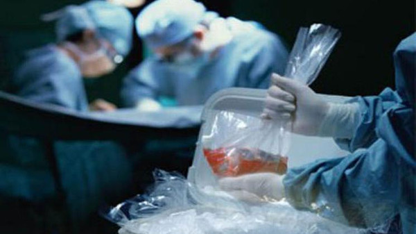  الاتجار بالاعضاء البشرية