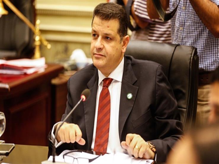 النائب طارق رضوان رئيس لجنة العلاقات الخارجية بالبرلمان النائب طارق رضوان رئيس لجنة العلاقات الخارجية بالبرلمان