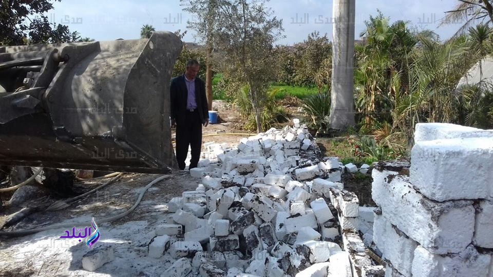 حملة إزارلة بالقليوبية