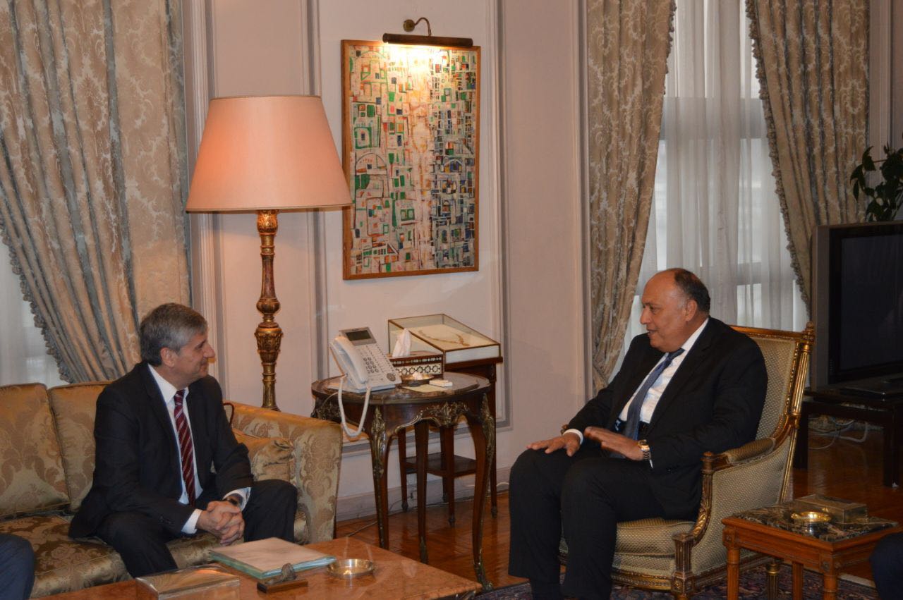 سامح شكري - وزير الخارجية المصري