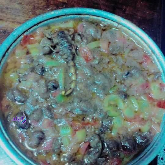 عقرب بوجبة فول بالمدن الجامعية بأسوان