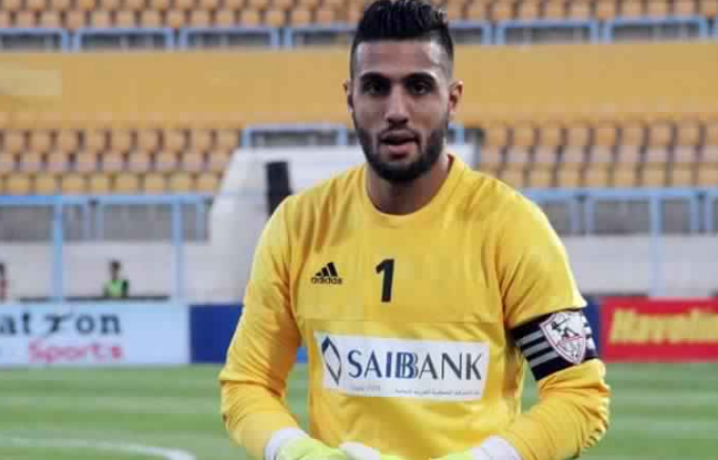 احمد الشناوي 