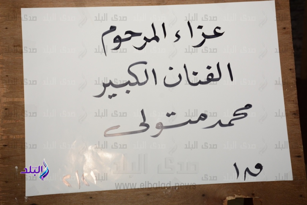 محمد متولي محمد متولي